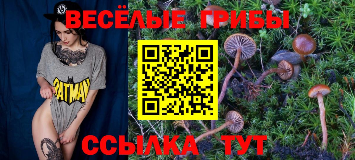 Псилоцибиновые грибы мицелий  Вход с VPN  купить наркотик  Бирск 